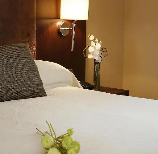 De Aranda 호텔 아란다데두에로